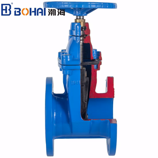 Ductile Iron/Wcb/Stainless Steel Industrial Control Gate Valve with Resilient Seating